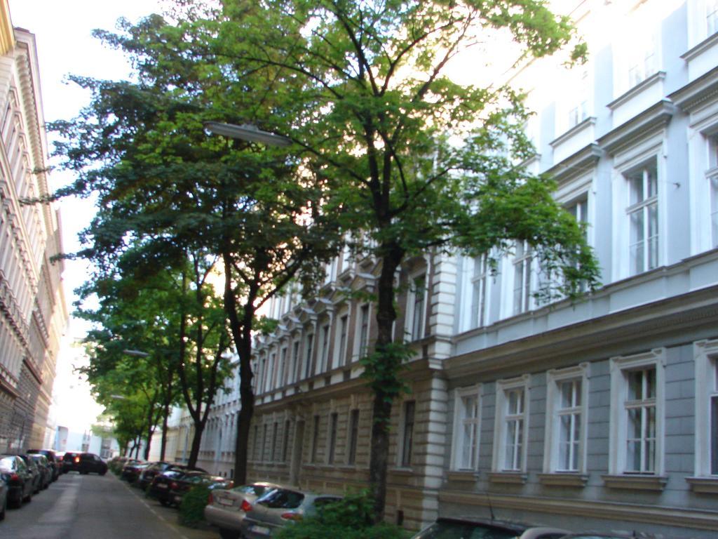 Charming Viennese Home Εξωτερικό φωτογραφία